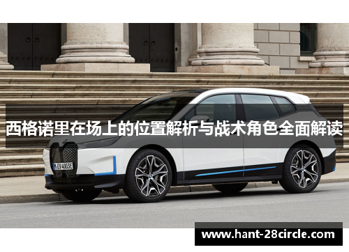 西格诺里在场上的位置解析与战术角色全面解读